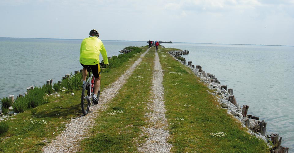 Agriturismo Ferrara - Borgo San Camillo - camere, pesca, cicloescursioni